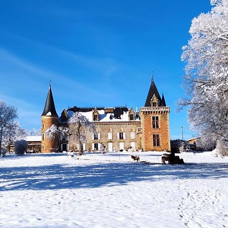 Chateau De La Forie Saint-Etienne-sur-Usson Exterior foto