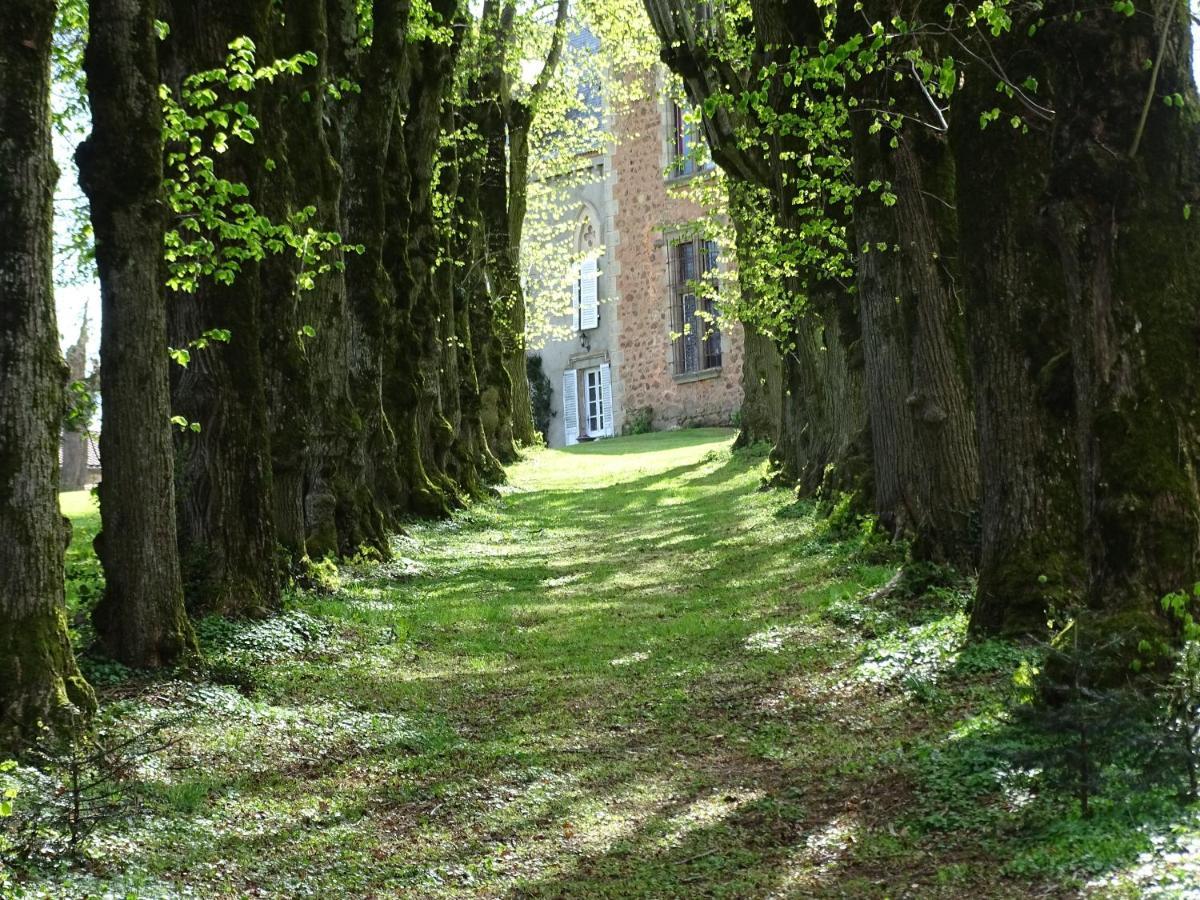 Chateau De La Forie Saint-Etienne-sur-Usson Exterior foto